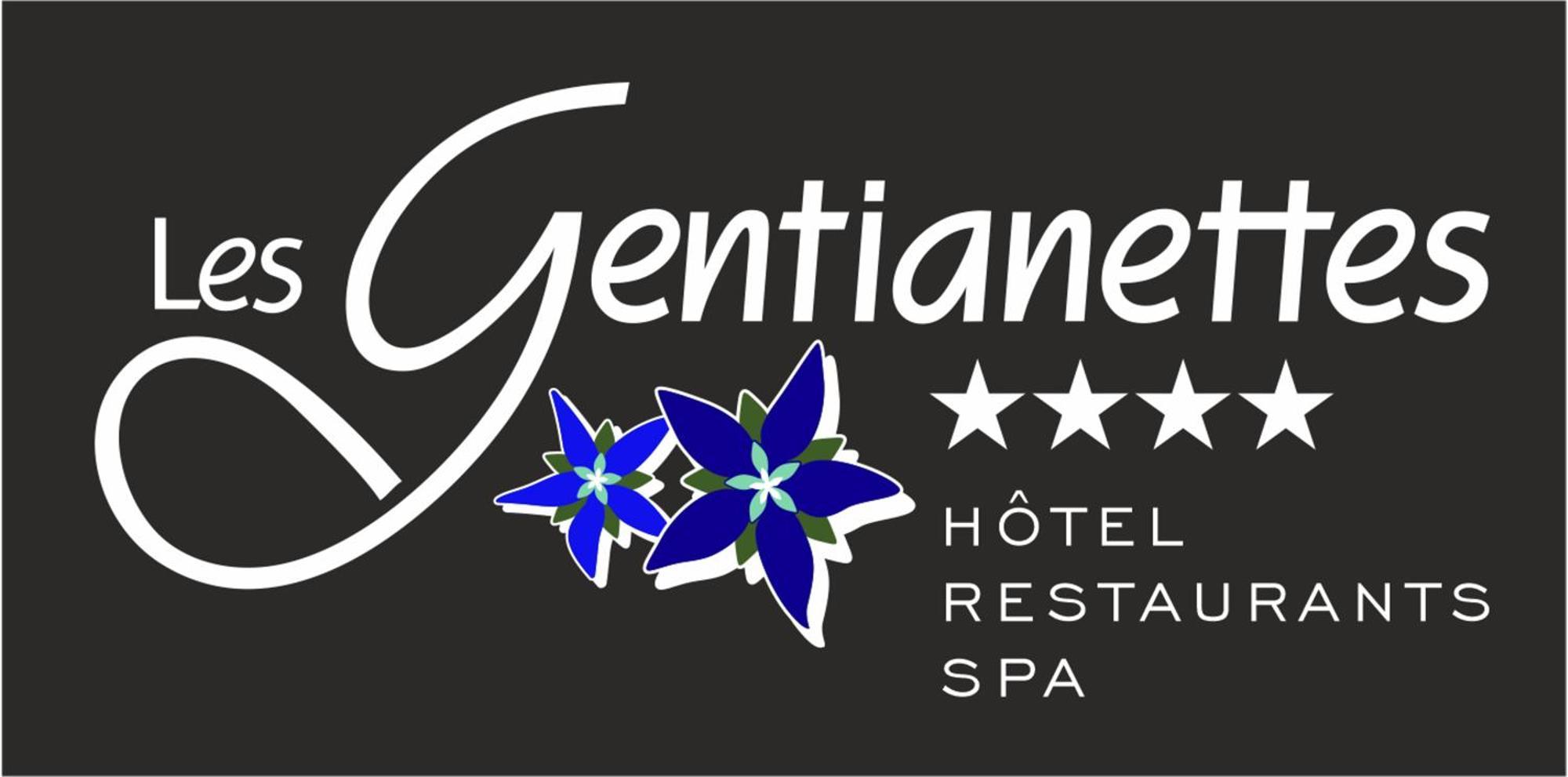 Les Gentianettes Hotel & Spa La Chapelle-d'Abondance Exterior photo
