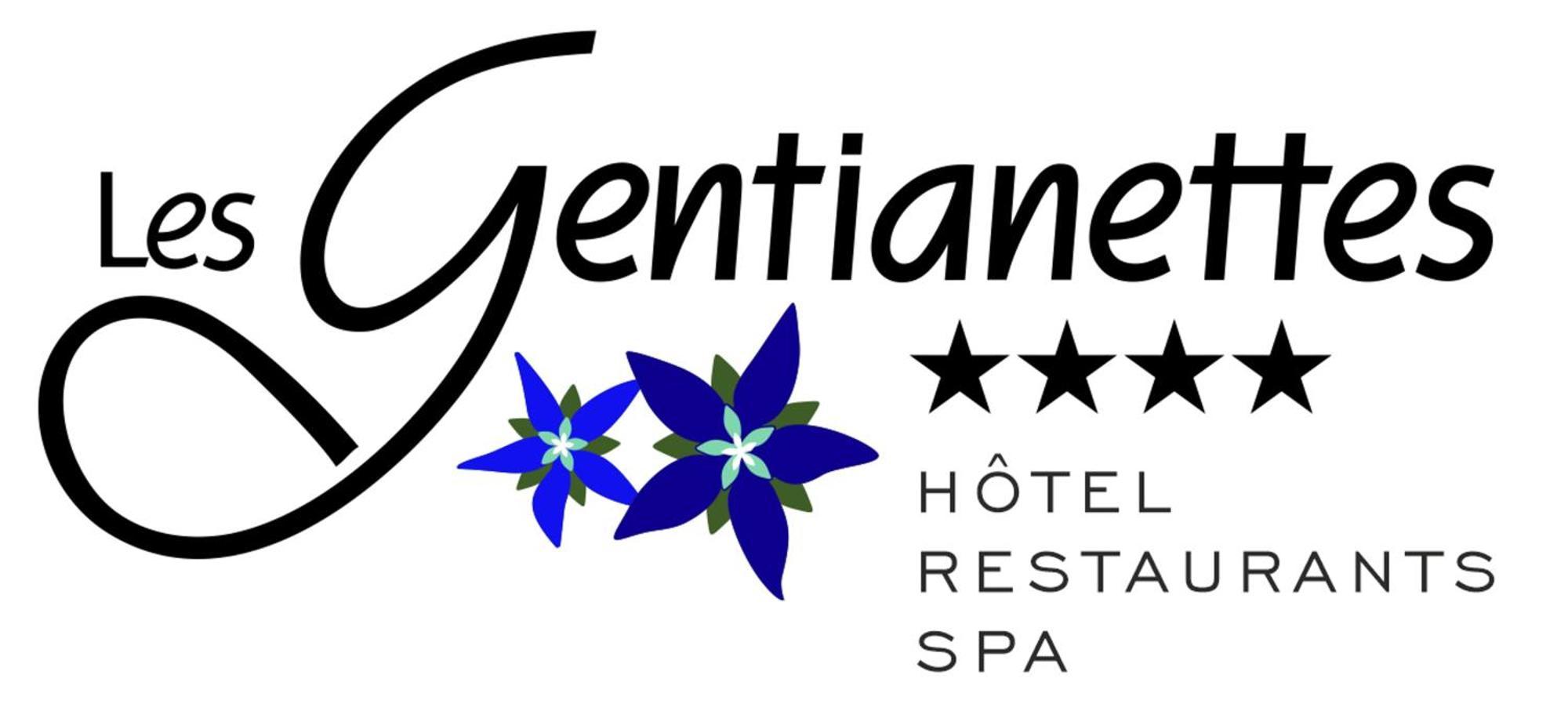 Les Gentianettes Hotel & Spa La Chapelle-d'Abondance Exterior photo
