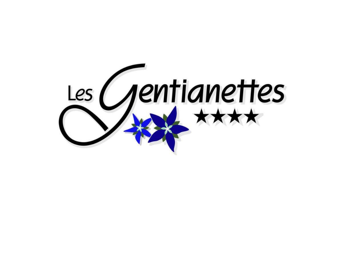 Les Gentianettes Hotel & Spa La Chapelle-d'Abondance Exterior photo